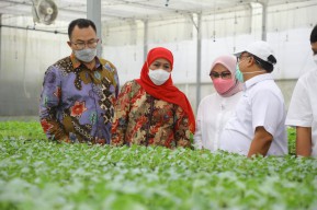 Kembangkan BUMDes, Pemprov Jatim Perkuat Program One Village One Ceo Melalui Kerjasama IPB