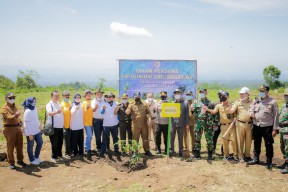 Pemkab Jember Dorong Kawasan Agrowisata Buah Naga Berubah Jadi Kelengkeng Jemsu