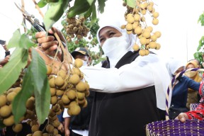 Pemprov Jatim Siapkan Pinjaman dengan Subsidi Bunga, Pelaku UMKM Diharapkan Bisa Memanfaatkan