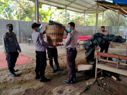 Gerebek Lokasi Sabung Ayam, Anggota Polsek Kalangbret Tak Temukan Pelaku
