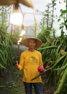 Kesuksesan Petani Banyuwangi Raup Omzet Ratusan Juta Rupiah Berkat Listrik PLN