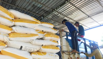 Program Makmur, Tahun Ini PTPN X Salurkan 15.693 Ton Pupuk