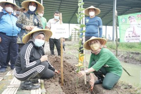 Desa Pabean Sedati Budidayakan Holtikultura, Tanam 500 Bibit Pohon Jeruk Siem di Atas Lahan 2 Hektar