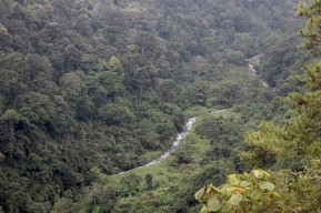 Taman Hutan Raya Raden Soerjo Raih Nilai Efektifitas Paling Tinggi se-Indonesia