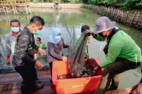 Masyarakat Berpenghasilan Rendah Terima Hasil Panen dari Pemkot