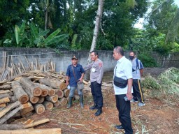 Jual Kayu Jati dari Hutan Gaul, Sugiono Akhirnya Tidur Sel Tahanan