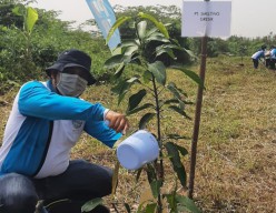 Smelting Tanam 100 Pohon dalam Peringatan Hari Air Sedunia