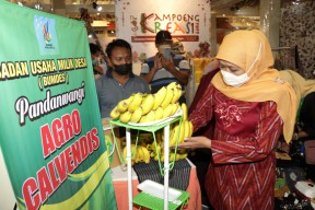 Pemprov Jatim Perkuat Ekonomi Pedesaan Lewat Kampoeng Kreasi