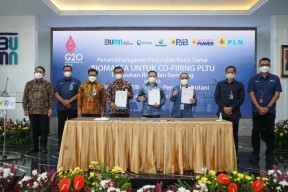 Pasok Serbuk Kayu 14 Ribu Ton, Perhutani Dukung Biomassa Co-Firing