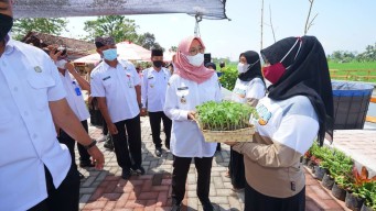 Sediakan Hadiah Rp 125 Juta, Banyuwangi Kembali Gelar Jagoan Tani Milenial