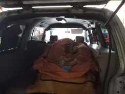 Pria Misterius Ditemukan Tewas Mengambang di Mangrove Surabaya