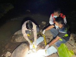 Hasil Otopsi Jasad Bayi di Ponorogo, Ada Kekerasan di Kepala