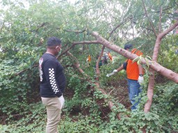 Sebulan Hilang, Pelajar SMP di Surabaya Ditemukan Tewas Gantung Diri