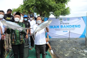 Menteri KKP Wahyu Trenggono Kunjungi Kampung Budidaya Bandeng Pangkah Wetan Gresik
