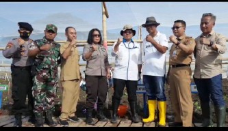 Targetkan Luas 650 Ha, PTPN X Mulai Tanam Perdana Tembakau di Jember