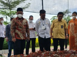 Pupuk Indonesia Bakal Tambah Kapasitas Produksi Pupuk NPK 500 Ribu Ton