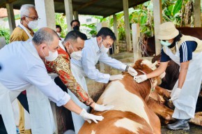 Menteri Pertanian Pastikan Wabah Penyakit Mulut dan Kuku Sapi Bisa Disembuhkan