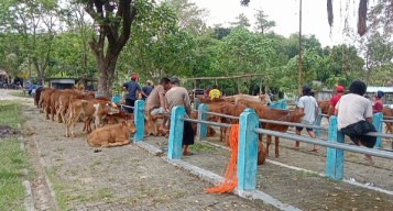Cegah Penyakit PMK, Dinas Peternakan Larang Sapi Luar Daerah Masuk Bojonegoro