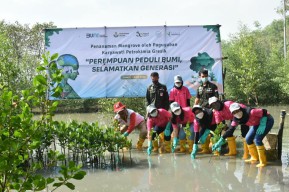 Srikandi Petrokimia Gresik Lakukan Tanam Mangrove di Pesisir Utara Ujung Pangkah