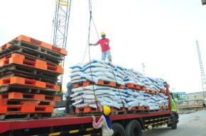 Rencana Fokuskan Pupuk Subsidi pada Urea dan NPK, Pemerintah Harus Lakukan Evaluasi