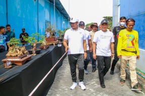 Dihadiri Wagub Emil, Festival Bonsai Lamongan Hadirkan Bonsai Rp 1,5 Miliar