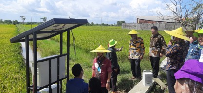 Alat Pengusir Burung Pipit Milik Dinas Pertanian Gresik Diklaim Mampu Meningkatkan Hasil Panen Petani Padi