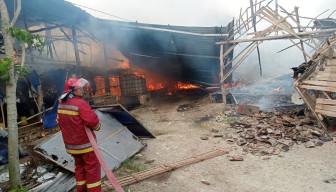 Kandang Terbakar, 55 Ribu Ayam di Bojonegoro Terpanggang