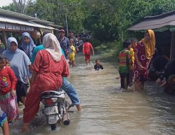 Banjir Rob Kembali Rendam Beberapa Desa di Gresik