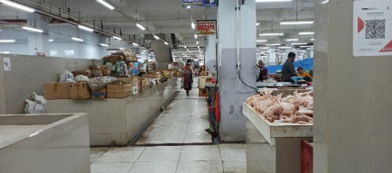Harga Ayam Melambung, Warga Ponorogo Menjerit