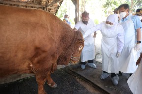 Khofifah Minta Bupati/Wali Kota Segera Terjun Pantau Sentra Penjualan Hewan Kurban