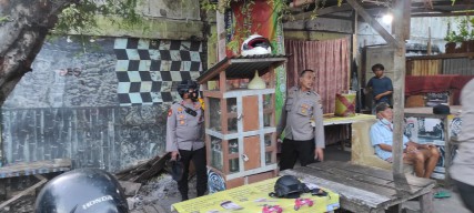 Arena Judi Burung Dara di Surabaya Digrebek, 4 Orang Diamankan