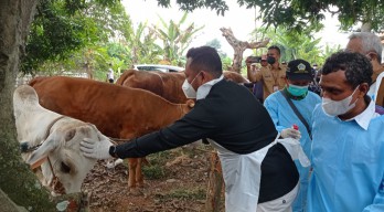 Panitia Penyembelihan Hewan Qurban di Gresik Wajib Terapkan Protokol, Begini Aturannya