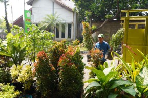 Petrokimia Gresik Bantu 1.110 Bibit Pohon Untuk Hijaukan Hutan Dan Taman Kota Gresik