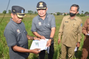 Tahun ini, Training Ground Gajah Mada Lamongan Siap Dibangun