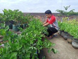 Salurkan Hoby Tanam ala Guru SMKN 2 Ponorogo