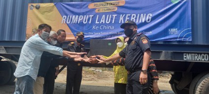 Bea Cukai Gresik Kembali Bantu UMKM Tembus Ekspor, Kali Ini Produsen Rumput Laut
