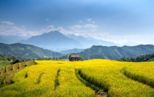 Pemkab Ajukan Verifikasi Lahan Sawah Dilindungi Kabupaten Gresik Kepada Kementerian ATR/BPN, Ranperda RTRW Segera Final