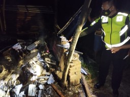 7 Kambing Warga Ponorogo Mati Terpanggang
