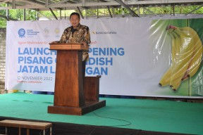 Launching Ripening Cavendis, Komitmen Wujudkan Surplus Pangan