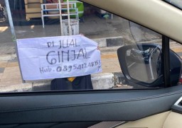 Anaknya Terlilit Pinjol, Ibu Penjual Gorengan di Tuban Nekat Jual Ginjal