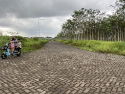 Pelaku Eksibisionis Resahkan Emak-Emak Perumahan Bumi Tegal Besar Jember