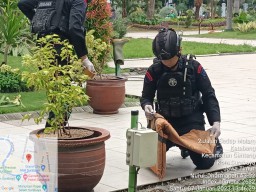 Granat Ditemukan di Balai Kota, Pemkot Singgung Soal Keamanan