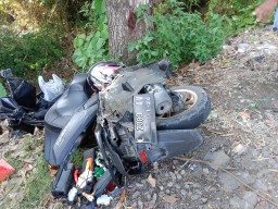 Jalan Babat-Jombang Memakan Korban, Pemotor Tewas Dihantam Pikap
