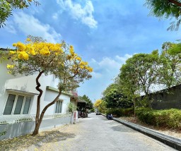 Laris Manis, Stok Rumah Milik Pengembang Ini Cuma Tinggal 16 Unit