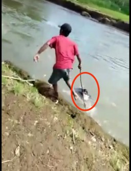 Heboh Jasad Manusia Terseret Arus Sungai Brantas dari Tulungagung Sampai Kediri