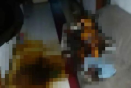 Seorang Wanita di Porong Tewas Mengenaskan, Tangan dan Kaki Terikat