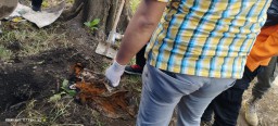 Gali Tanah, Warga Pabean Cantikan Temukan Orok Bayi