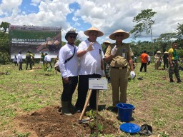 PTPN Jatim bersama KAI lakukan Konservasi di Desa Kajarharjo Kalibaru