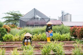 Sistem Pertambangan PT Semen Gresik Pabrik Rembang Raih Predikat Terbaik 1 Penghargaan Good Mining Practice 2023