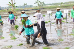 Sektor Pertanian Jatim Tumbuh Pesat Pada Kuartal I 2023